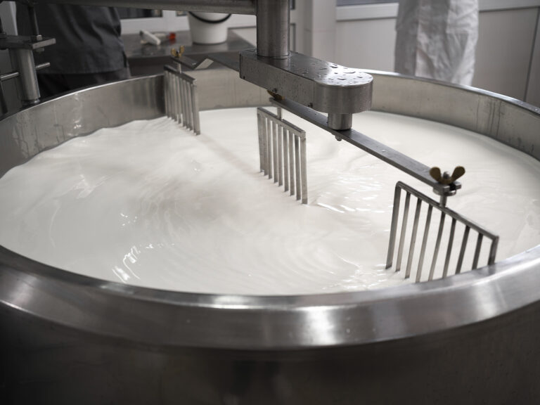 Máquina procesadora de queso en industria láctea